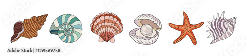 Sea shells, starfishes set. Underwater mollusk animals. Marine molluscs seashells, scallops, snails, cockleshells, mussels, conches. Vector illustration of shellfishes isolated, transparent background