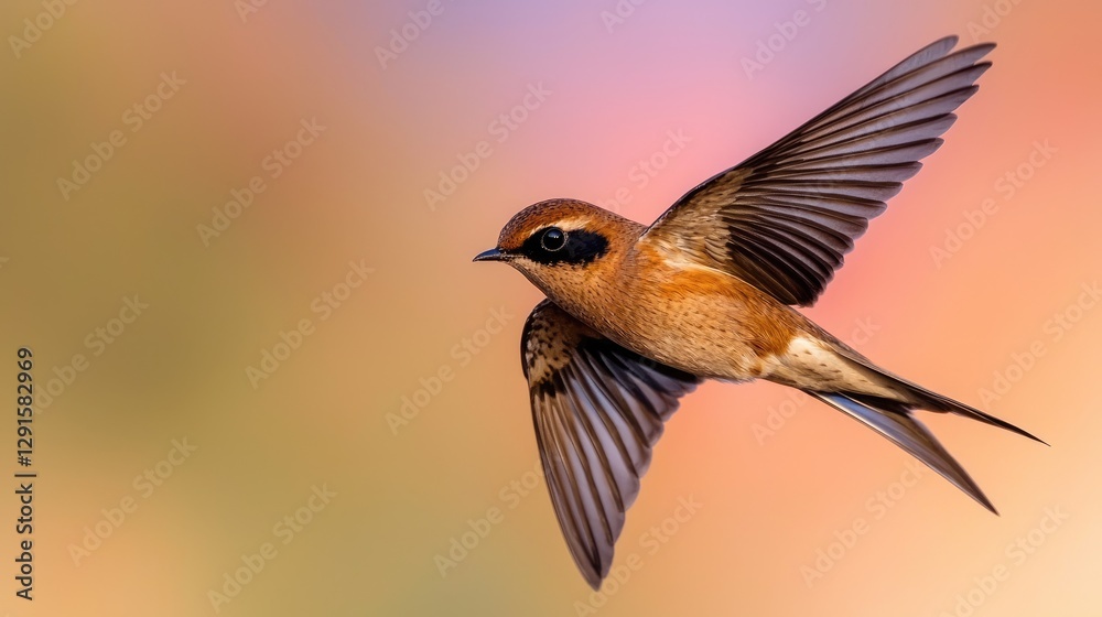 Fototapeta premium Bird in Flight Against Soft Background