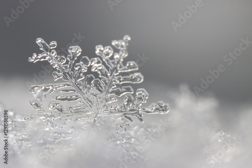 Snowflake in the snow close-up macro, shallow depth of field