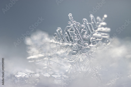 Snowflake in the snow close-up macro, shallow depth of field