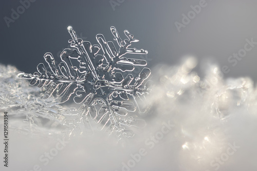 Snowflake in the snow close-up macro, shallow depth of field