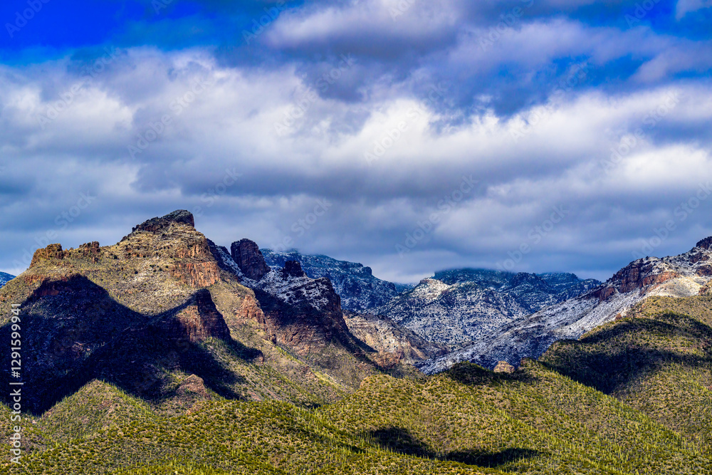 Fototapeta premium 2023-03-02 CATALINA MOUNTAINS WITH SNOW AND A GREEN VALLEY IN MARCH WITH A GRAY SKY JUST OUTSIDE OF TUCSON ARIZONA