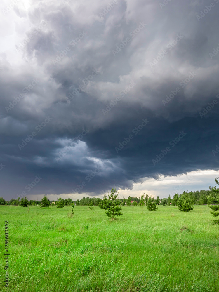 Field of grass with trees in the background and a storm in the sky Field of grass with trees in the background and a storm in the sky
