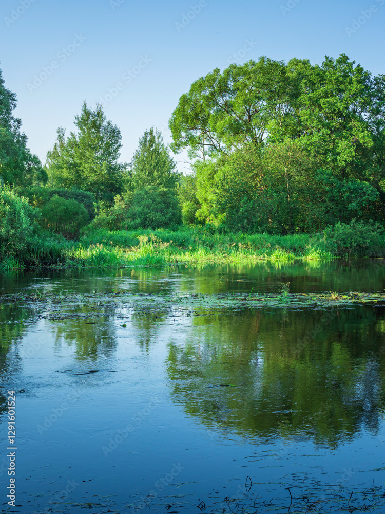 Fototapeta premium Calm lake with trees in the background