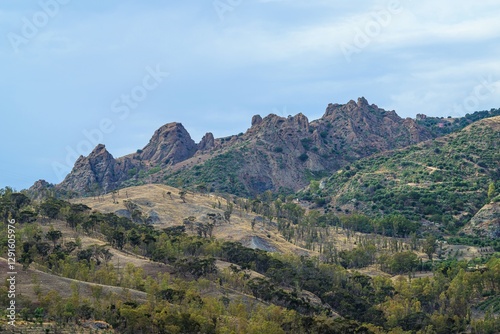 Olive groves and mountains around Ghost Town, Pentedattilo Village, Calabria, Italy, Europe photo