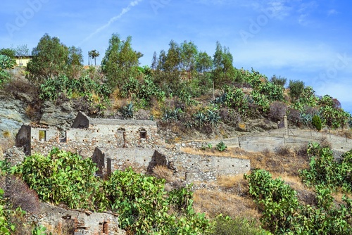 Olive groves and mountains around Ghost Town, Pentedattilo Village, Calabria, Italy, Europe photo