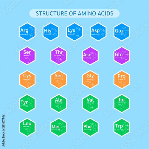 Amino acids and chemical formula structural. Biomolecules that combine to form proteins nutrients necessary for health muscle. For dietary supplements ads. Medical scientific. Vector.