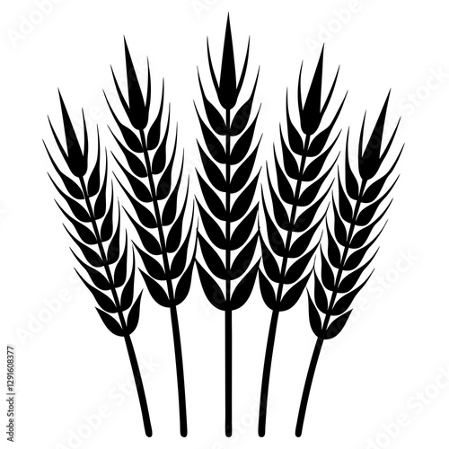 ears of wheat vector illustration