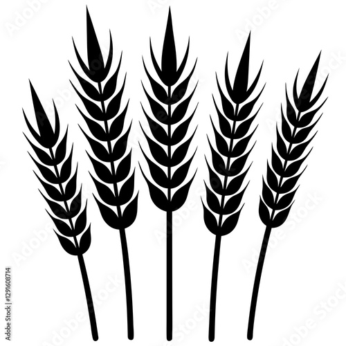 wheat ears isolated on white