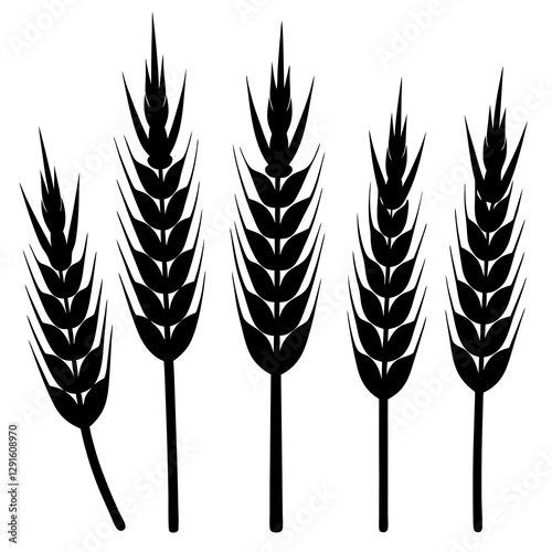 wheat ears isolated on white