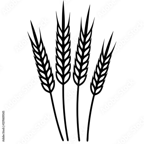 ears of wheat