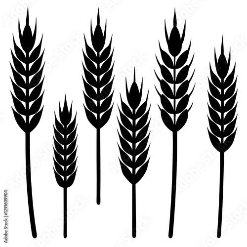 wheat ears isolated on white