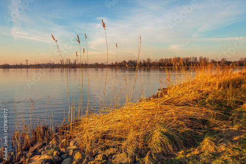 Obraz na płótnie View from the bank of a wide river on a windless winter day. The sun is low in the sky and the orange light shines over the reeds at the water's edge. w salonie