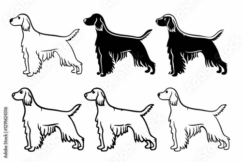 set of Irish Setter Dog silhouette vector illustration