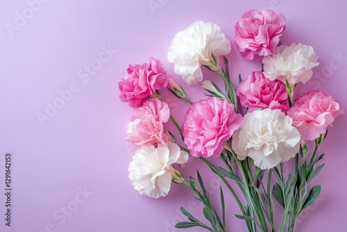 Wallpaper Mural Beautiful Arrangement of Pink and White Carnations on a Soft Lavender Background Torontodigital.ca
