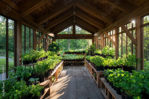 Sunlit greenhouse filled with potted plants