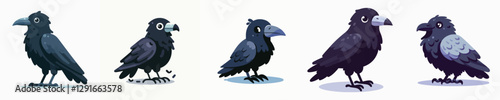 vector set of black crows