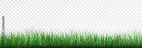  Grass, lawn, grass border isolated on transparent background, vector png. Realistic grass effect on a light background for your design.