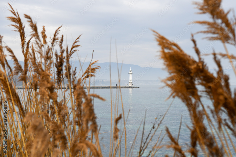 Obraz premium Phare blanc à Genève sur le lac Léman entre des feuilles de pampa 