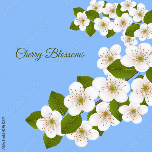 Spring square background with blossoming cherry. Branches with pear and apple flowers on a blue background. Vector illustration. Greeting card invitation. Bright flyer for sale and discount. 
