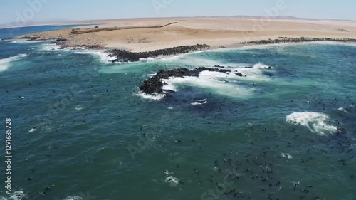 Wallpaper Mural Aerial view of coastal seals in natural habitat with waves crashing on rocky shoreline Torontodigital.ca