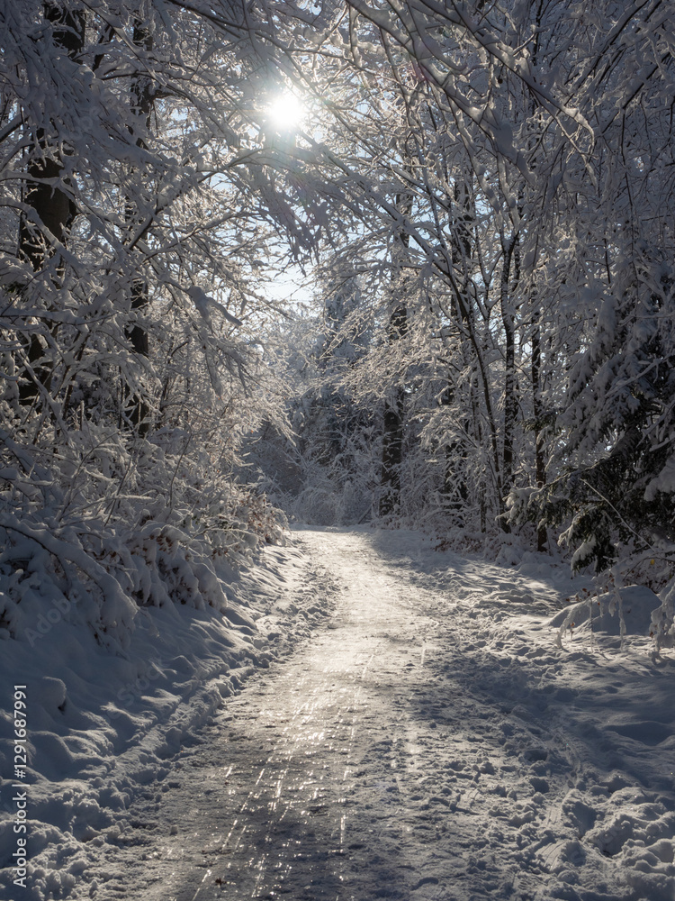 Zurich, Switzerland - December 12th 2023: View along a snow covered footpath against the sun Zurich, Switzerland - December 12th 2023: View along a snow covered footpath against the sun