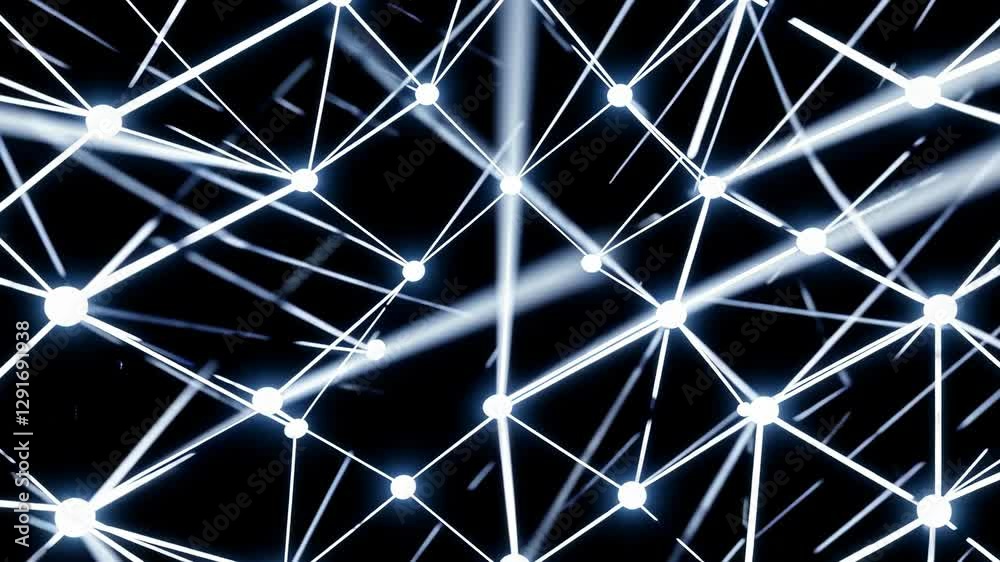 The Digital Light Network The Digital Light Network