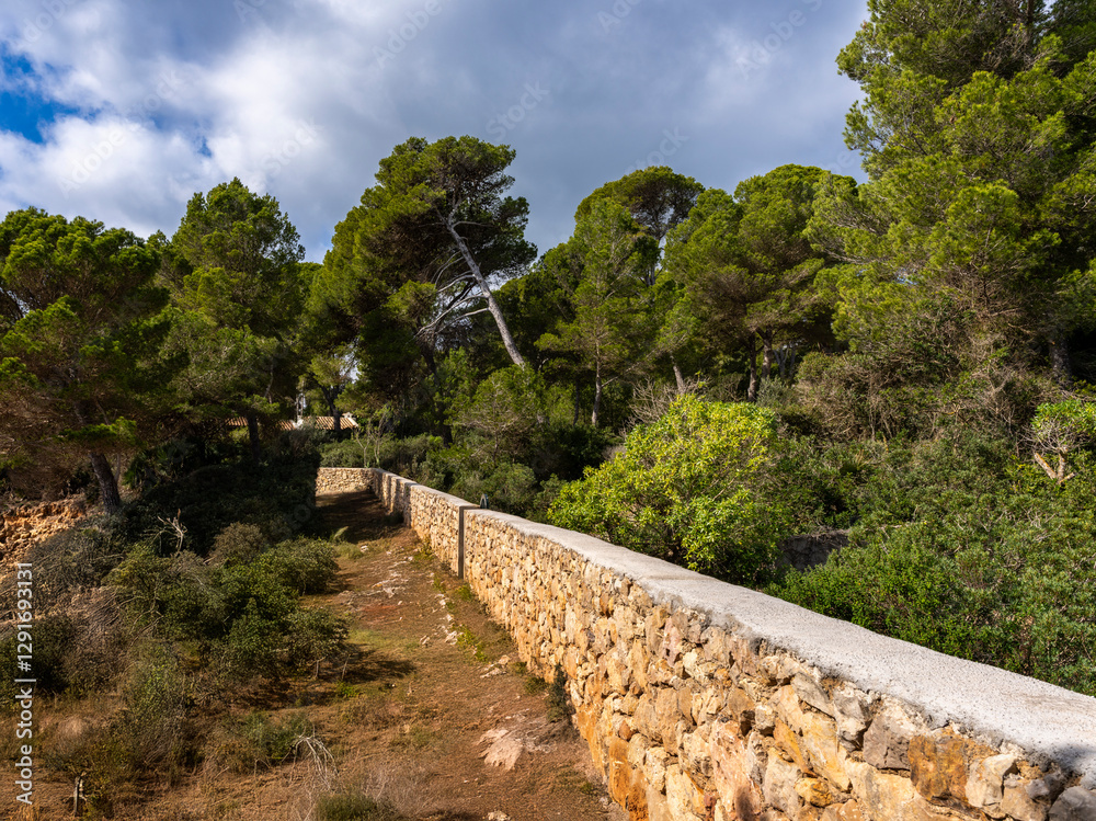 Landschaft und Küstengebiet im Norden Mallorcas, Cala Rajada, Balearen,. Spanien