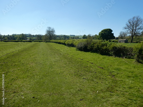 Serene Countryside Path