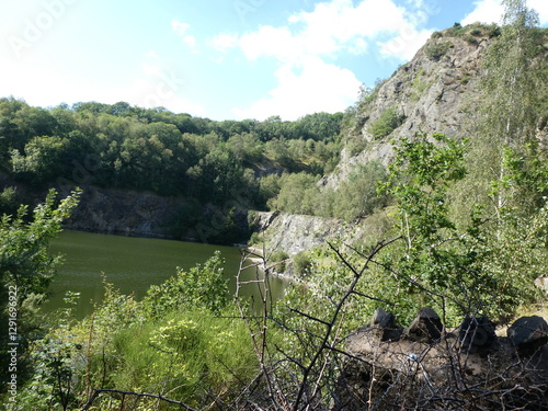 Lush Greenery by the Lake