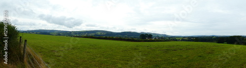 Lush Green Landscape