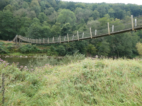 Suspension Bridge in Nature