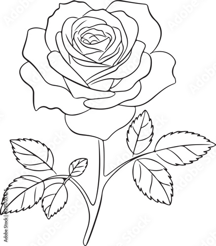 Vector isolated one single rose flower on a stem with leaves colorless black and white contour line easy drawing