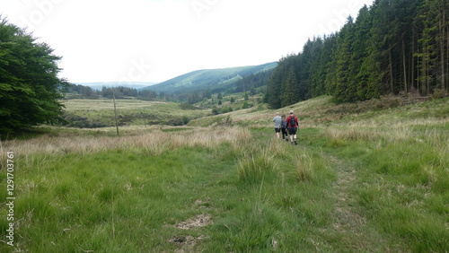 Hiking Through Green Fields