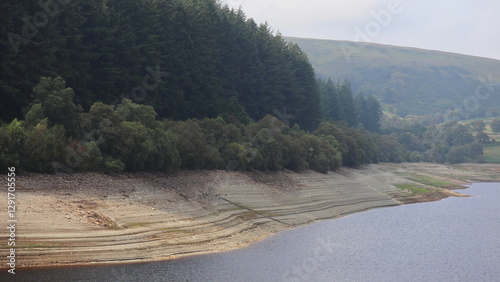 Tranquil Lakeside Scene