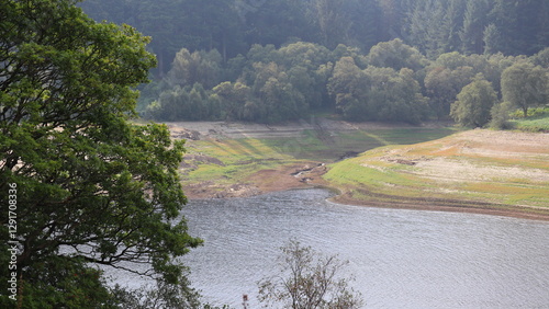 Tranquil Lakeside View