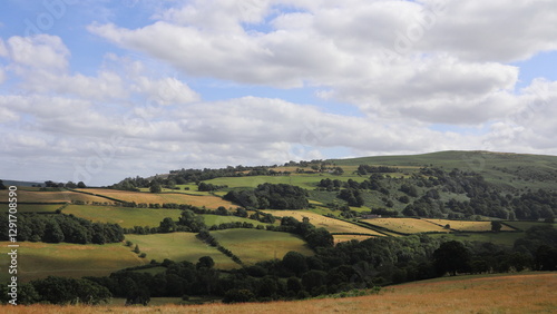 Rolling Green Hills