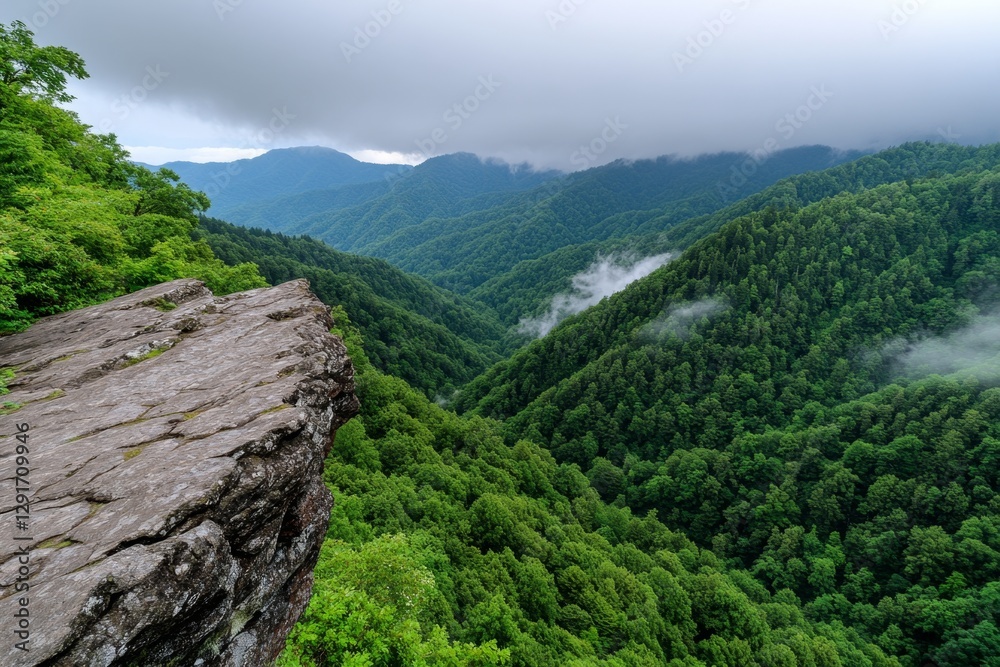 Naklejka premium A misty mountain forest scene with dark, overcast skies, evoking an ethereal and mysterious mood