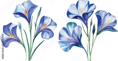 Blue iris blossoms watercolor flower. Blue watercolor flower isolated on white background. 