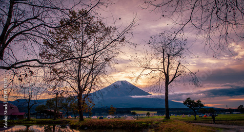 Wallpaper Mural Landscapes image of Mt. Fuji with big trees and lake at sunrise in Fujinomiya, Japan. Torontodigital.ca