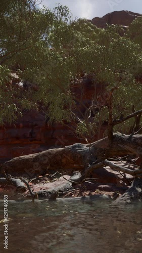 redwall reflection in Colorado River photo