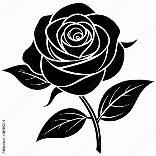 black rose isolated on white