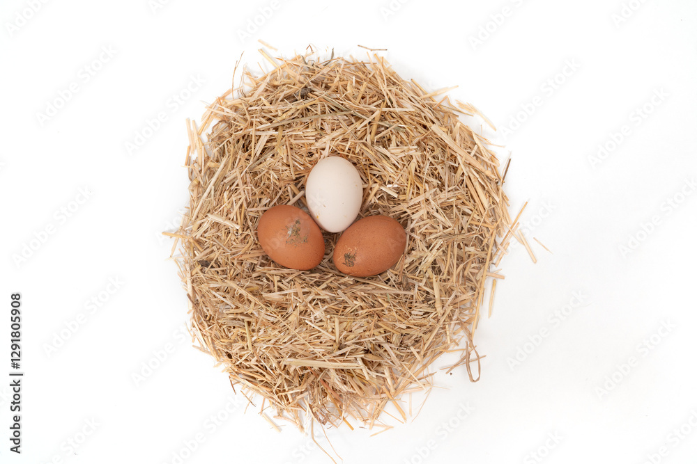 Organic eggs in a straw nest isolated on white background Organic eggs in a straw nest isolated on white background