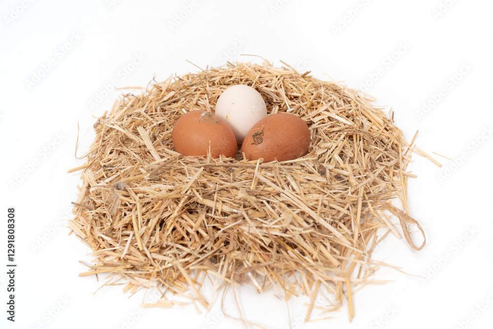 Organic eggs in a straw nest isolated on white background Organic eggs in a straw nest isolated on white background