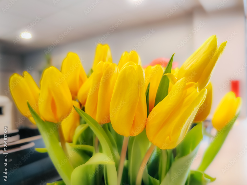 Naklejka premium A vibrant bouquet of fresh yellow tulips with lush green leaves, beautifully arranged indoors. The soft focus and warm lighting enhance the delicate petals, evoking feelings of joy and springtime.
