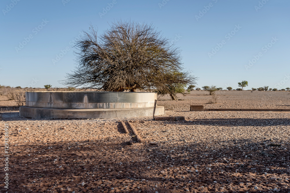 artificial water-hole at Kalahari desert countryside, near Hoachanas, Namibia