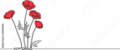 colored continuous single line drawing of poppy flowers, wildflower line art vector illustration
