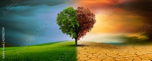 Baum in einer imaginären landschaft im Klimawandel von Dürre zu Grünem Wachstum