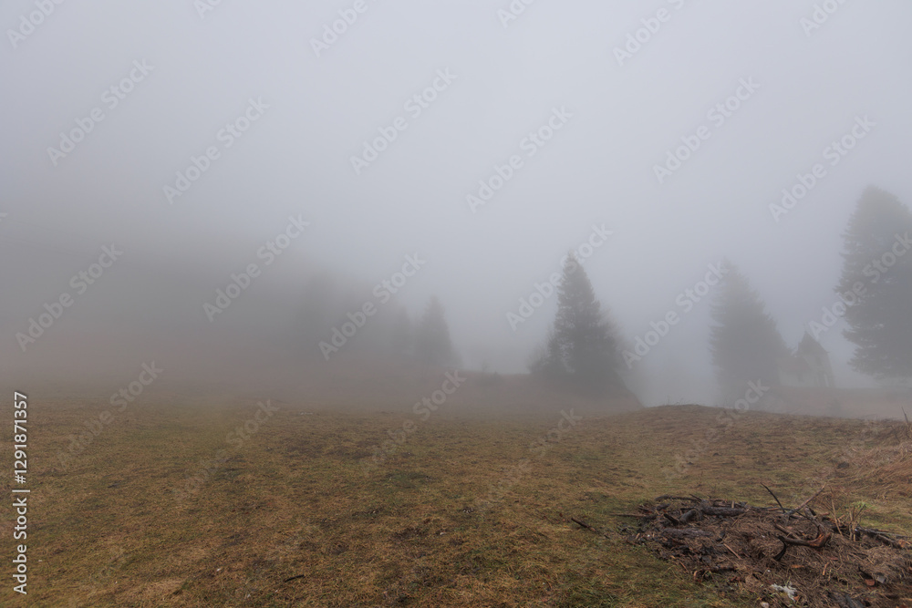 panoramica su varie foreste con alberi spogli, in un ambiente naturale tra le alte colline della Slovenia, avvolte da una fitta nebbia, di giorno, in inverno