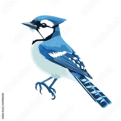Blue Jay minimalist 2D vector graphic illustration sketch on a white background.

